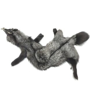 ЛИСА ЧЕРНОБУРКА