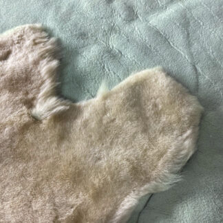 МУТОН ПОДКЛАДОЧНЫЙ