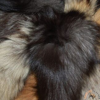 ХВОСТЫ ЕНОТА