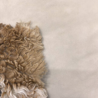 НАППА "ТИГРАДО"