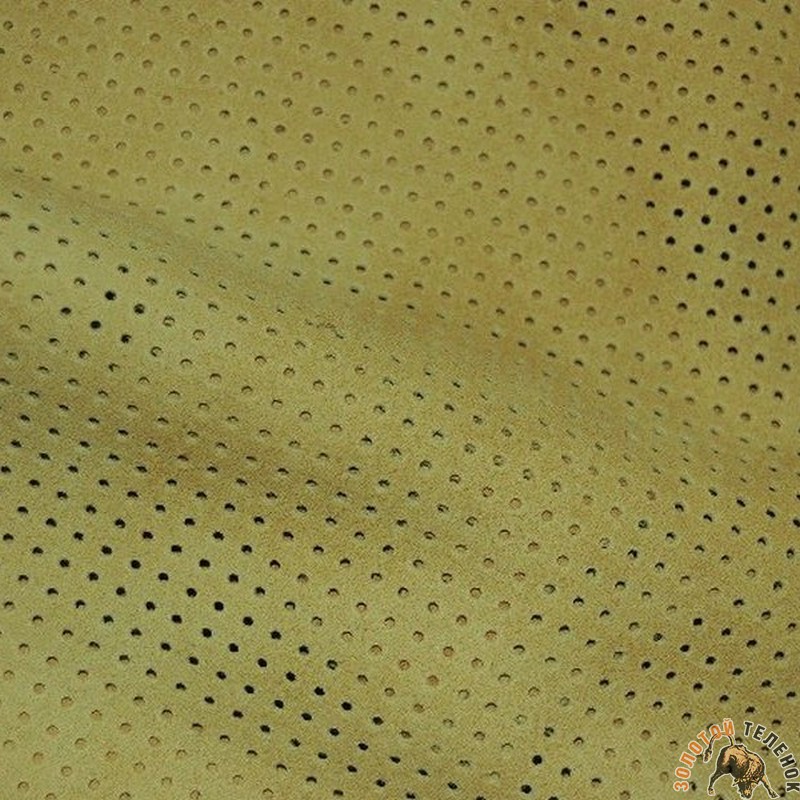 5204